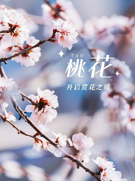 追花指南第三期！別等了 今天就去和桃花撞個滿懷