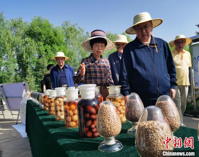 青海：利用冷涼氣候，打造高原綠色種業(yè)輸出地