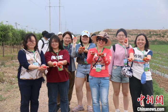 圖為臺(tái)胞體驗(yàn)大美內(nèi)蒙古?！⊥袐I供圖