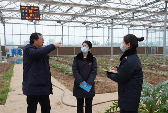 稅務(wù)干部走進常德市西洞庭管理區(qū)的朝鮮薊種植基地，宣傳稅費優(yōu)惠政策，助力農(nóng)企搶農(nóng)時、抓春耕、穩(wěn)增長。吳家豪攝