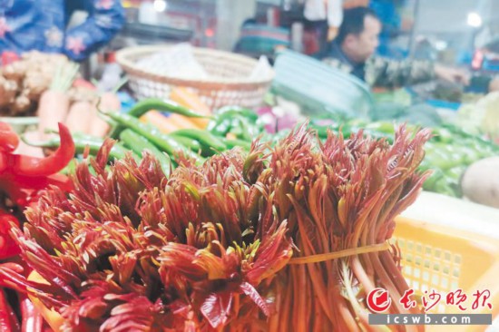 　　農(nóng)貿(mào)市場里鮮嫩的香椿?！　【鶠殚L沙晚報全媒體記者 劉捷萍 攝