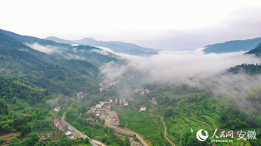 雨后的金寨大灣村，云霧環(huán)繞，宛如一幅田園山水畫卷。人民網(wǎng) 張俊攝
