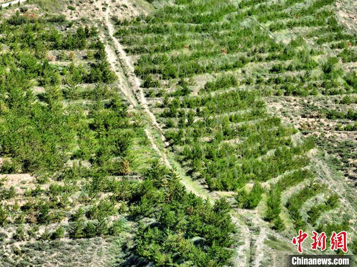 航拍建行青海省分行綠化區(qū)?！∑钤鲚?攝