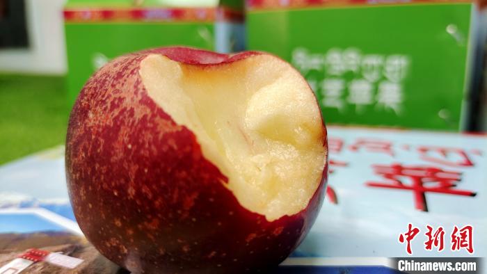 圖為通麥村特色甜心蘋果。　貢桑拉姆 攝