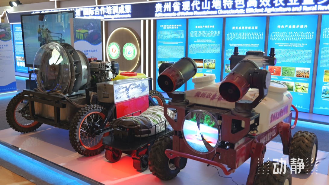 展示成果分享經(jīng)驗(yàn)，中國—東盟教育交流周深化合作共創(chuàng)未來！
