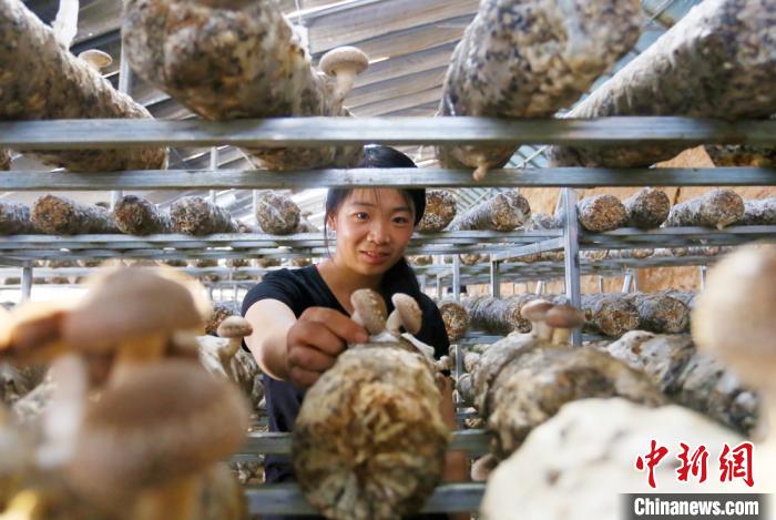 甘肅天?！跋愎椒蚱蕖毕律饺氪ǎ捍笈锢镉板X景”