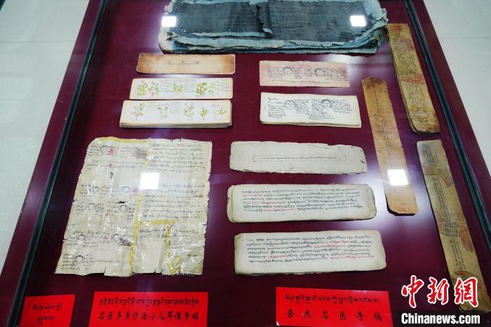 圖為藏醫(yī)古集文獻和藏醫(yī)臨床原始手稿?！●R銘言 攝