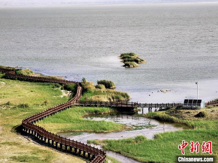 圖為都蘭湖國家濕地公園觀光棧道?！∑钤鲚?攝