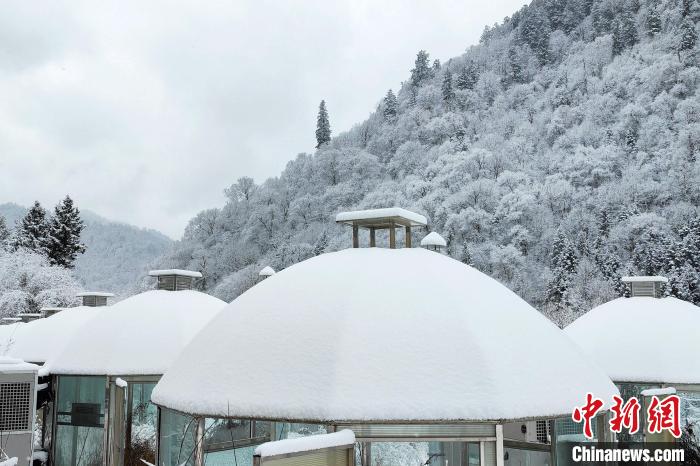 大熊貓國家公園王朗片區(qū)春雪如畫，宛若仙境。　羅春平 攝