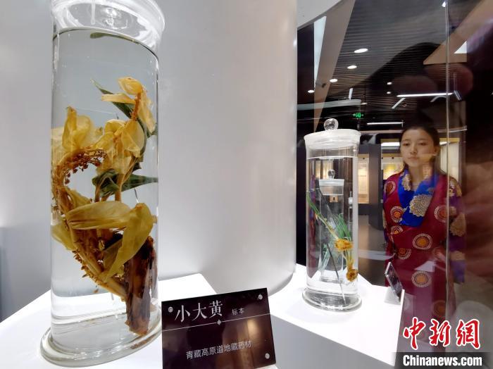 青海中藏醫(yī)藥發(fā)展提速：建設(shè)一批重點(diǎn)?？茖W(xué)科，推廣一批適宜技術(shù)