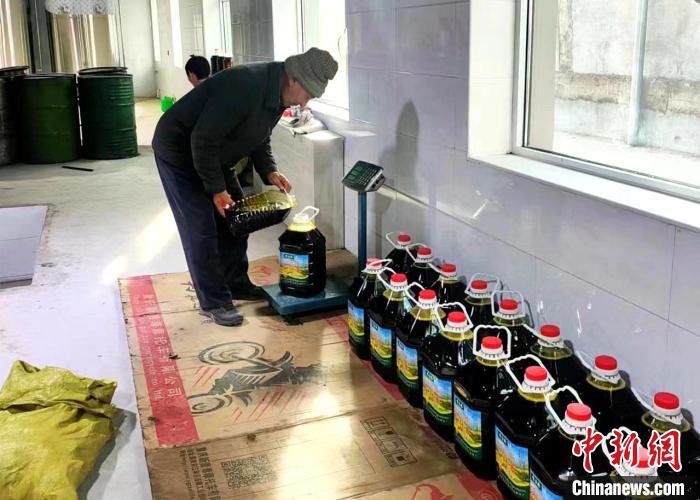 圖為高原油菜籽榨出的菜籽油?！埖么?攝