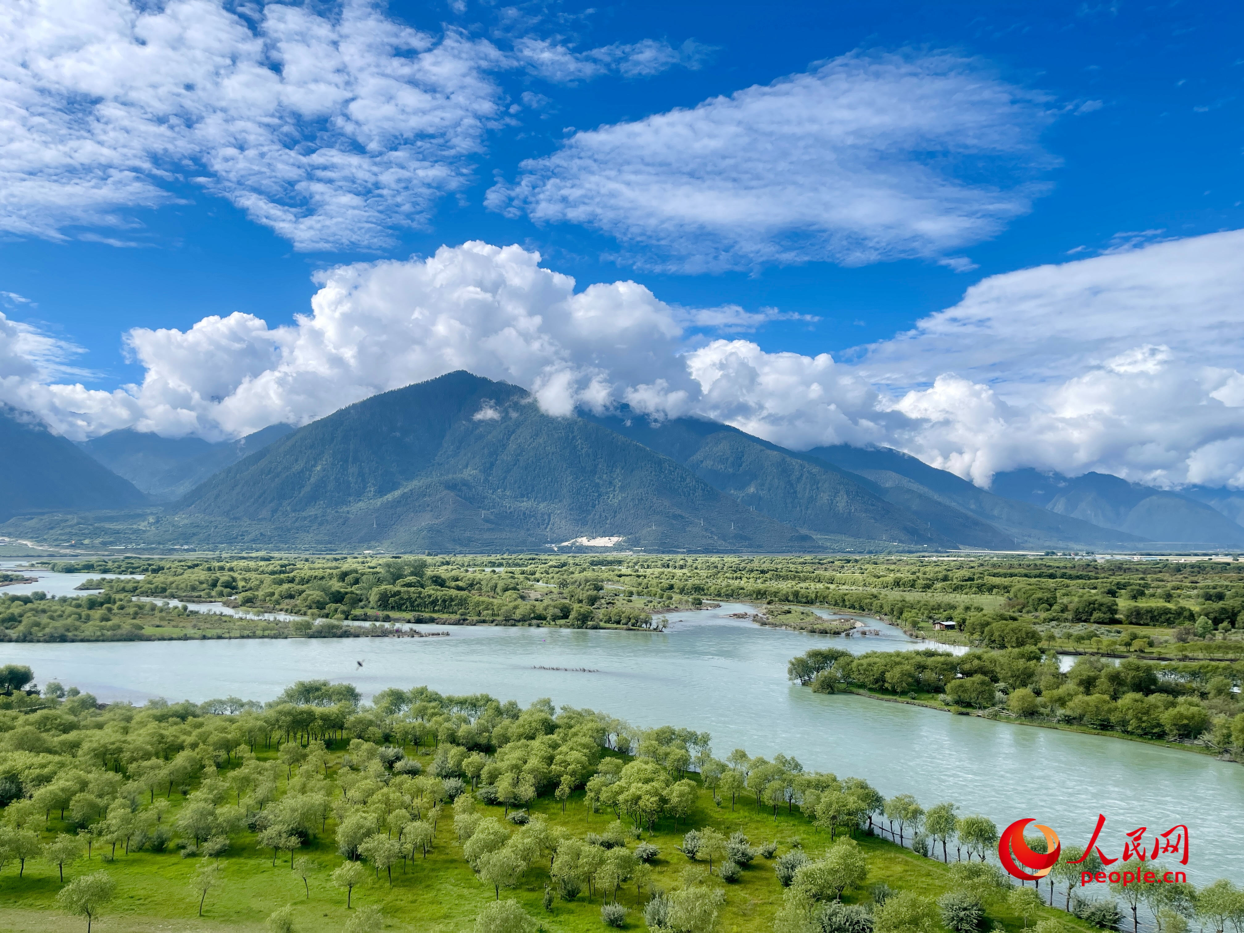 夏日的雅尼國家濕地公園生機(jī)盎然，如詩如畫。人民網(wǎng) 周靜圓攝