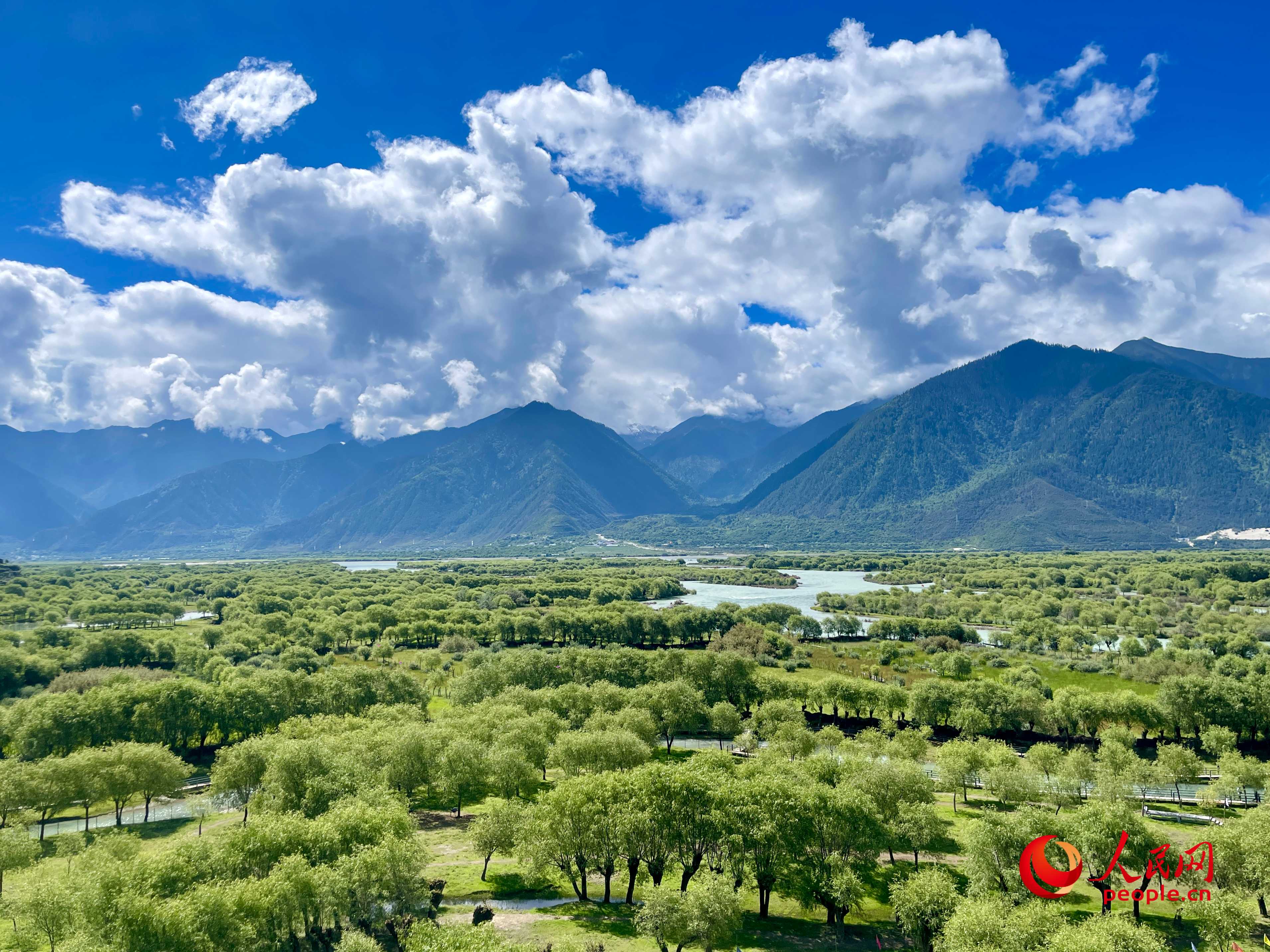 夏日的雅尼國家濕地公園生機(jī)盎然，如詩如畫。人民網(wǎng) 周靜圓攝