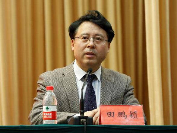 田鵬穎：投入其中、樂在其中、安身其中