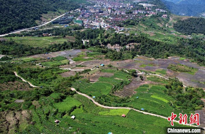 圖為西藏林芝市墨脫縣城附近的茶田。(無人機(jī)照片) 李林 攝